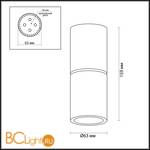 Потолочный светильник Odeon Light Duetta 3895/1C - Схема