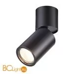Потолочный светильник Odeon Light Duetta 3896/1C