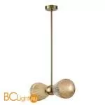 Подвесной светильник Odeon Light Elica 5402/2