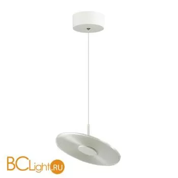 Подвесной светильник Odeon Light Ellen 4107/12L