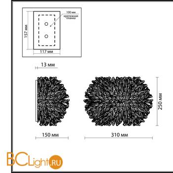 Настенный светильник Odeon Light Esma 2755/1W - Схема