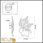 Настенный светильник Odeon Light Eva 4371/6WL - Фото 1