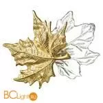 Настенный светильник Odeon Light Eva 4371/6WL