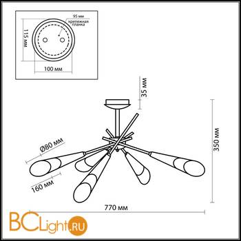 Потолочная люстра Odeon Light Evans 2464/8C - Схема