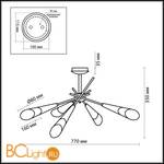 Потолочная люстра Odeon Light Evans 2464/8C - Схема