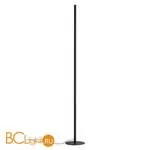 Напольный светильник Odeon Light Fillini 4335/32FL