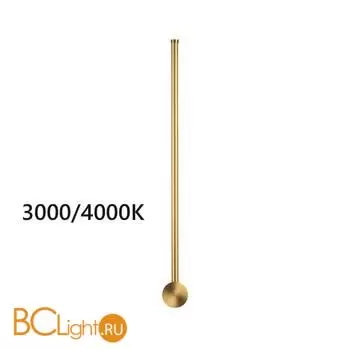 Бра Odeon Light Fillini 4335/12WGP