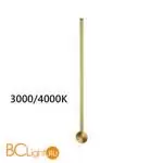 Бра Odeon Light Fillini 4335/12WGP