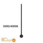 Бра Odeon Light Fillini 4335/12WLP