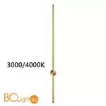 Бра Odeon Light Fillini 4335/18WGP