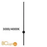 Бра Odeon Light Fillini 4335/18WLP