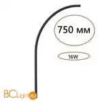 Настенный светильник Odeon Light FINO new 7006/100A