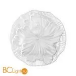 Настенный светильник Odeon Light Fiore 6614/8WL