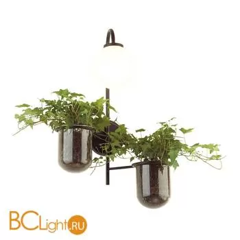 Бра Odeon Light Flower 4681/1W