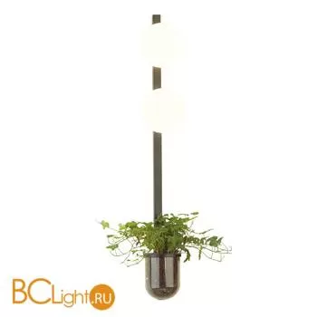 Настенный светильник Odeon Light Flower 4681/2WA