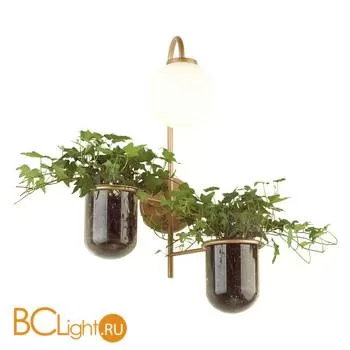 Бра Odeon Light Flower 4682/1W