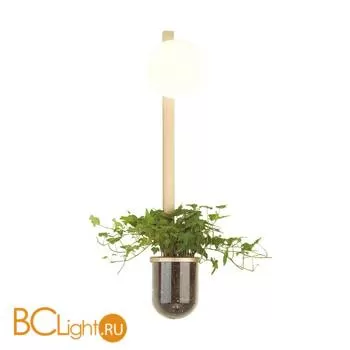 Настенный светильник Odeon Light Flower 4682/1WB