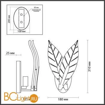 Бра Odeon Light Floweri 4838/1W - Фото 2