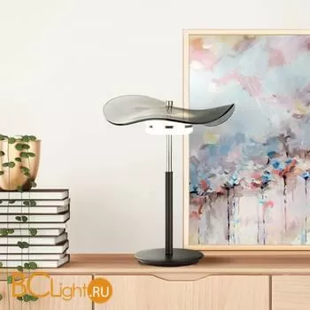 Настольная лампа Odeon Light Fluent 4858/10TL