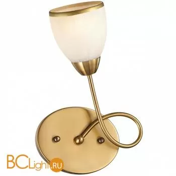 Бра Odeon Light FOKO 2561/1W