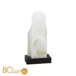 Настольный светильник Odeon Light FOROS new 5438/12TL