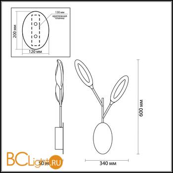 Бра Odeon Light Gardena 3903/14WL - Схема