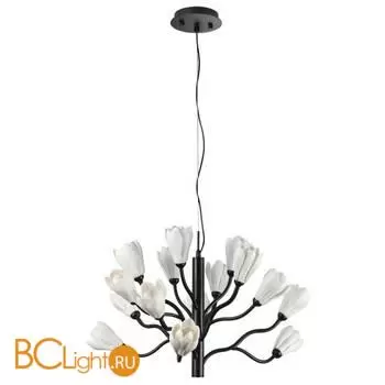 Люстра Odeon Light GARDI new 5090/15