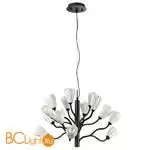 Люстра Odeon Light GARDI new 5090/15