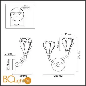Настенный светильник Odeon Light GARDI new 5090/2W - Фото 1