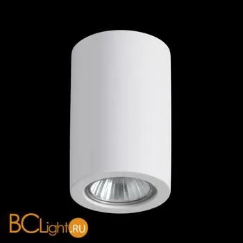 Спот (точечный светильник) Odeon Light Gips 3553/1C