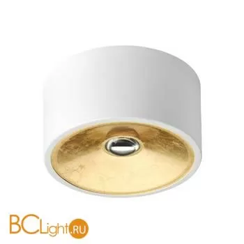 Потолочный светильник Odeon Light GLASGOW 3892/1C - Фото 0