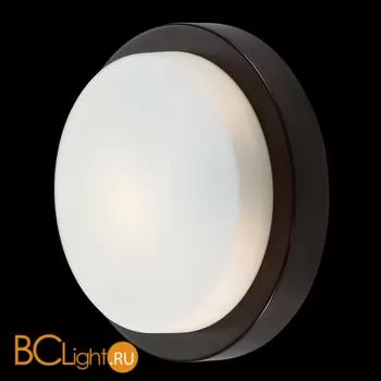 Настенно-потолочный светильник Odeon Light Holger 2744/1C