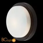 Настенно-потолочный светильник Odeon Light Holger 2744/1C