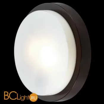 Настенно-потолочный светильник Odeon Light Holger 2744/2C