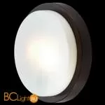 Настенно-потолочный светильник Odeon Light Holger 2744/2C