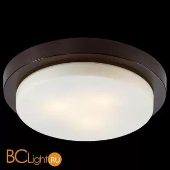 Настенно-потолочный светильник Odeon Light Holger 2744/3C