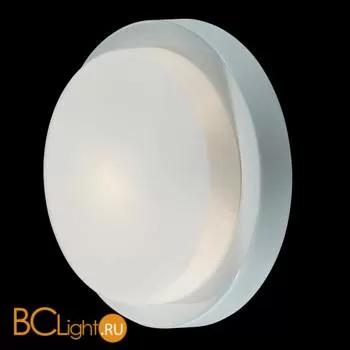 Настенно-потолочный светильник Odeon Light Holger 2745/1C