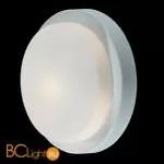 Настенно-потолочный светильник Odeon Light Holger 2745/1C