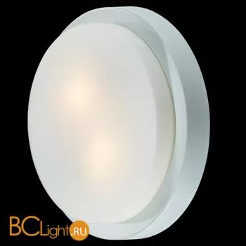 Настенно-потолочный светильник Odeon Light Holger 2745/2C