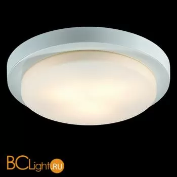 Потолочный светильник Odeon Light Holger 2745/3C
