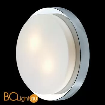 Настенно-потолочный светильник Odeon Light Holger 2746/2C