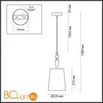 Подвесной светильник Odeon Light HOMI 5040/1A - Фото 0