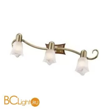 Cпот (точечный светильник) Odeon Light Ilsa 1968/3W