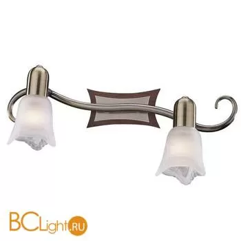 Cпот (точечный светильник) Odeon Light Ilsa 1968/2W