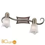 Cпот (точечный светильник) Odeon Light Ilsa 1968/2W