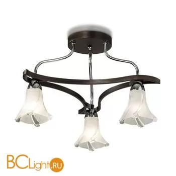 Потолочная люстра Odeon Light Iwo 2237/3C