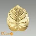 Бра Odeon Light Jungle 4864/1W - Фото 0