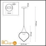 Подвесной светильник Odeon Light Kesta 4949/1 - Фото 2