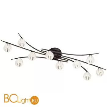 Потолочная люстра Odeon Light Kinston 2466/10C