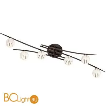 Потолочная люстра Odeon Light Kinston 2466/6C